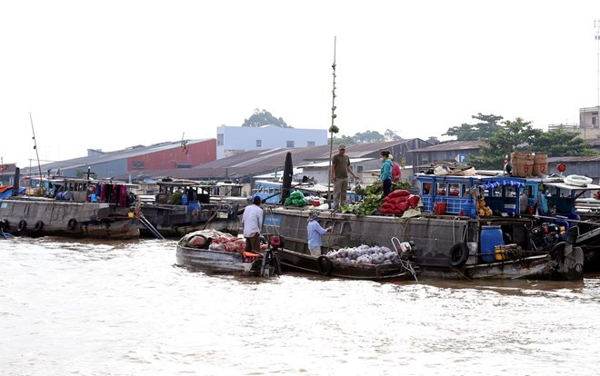 Can Tho comptabilise 1,8 million de touristes en deux mois ảnh 1 Can Tho comptabilise 1,8 million de touristes en deux mois ảnh 1