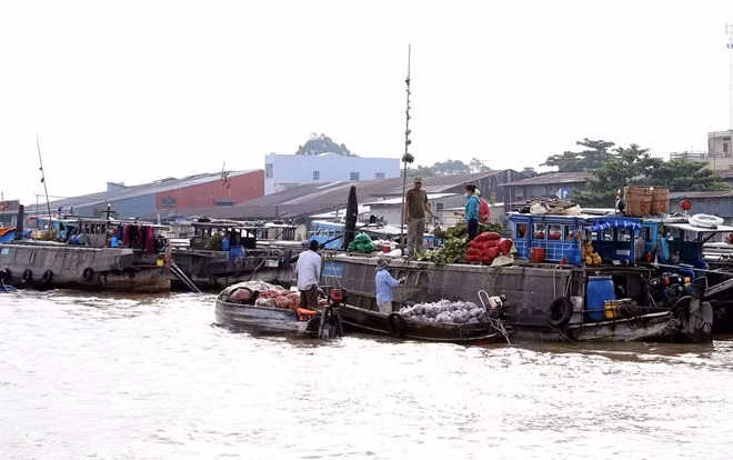 Can Tho comptabilise 1,8 million de touristes en deux mois ảnh 1 Can Tho comptabilise 1,8 million de touristes en deux mois ảnh 1