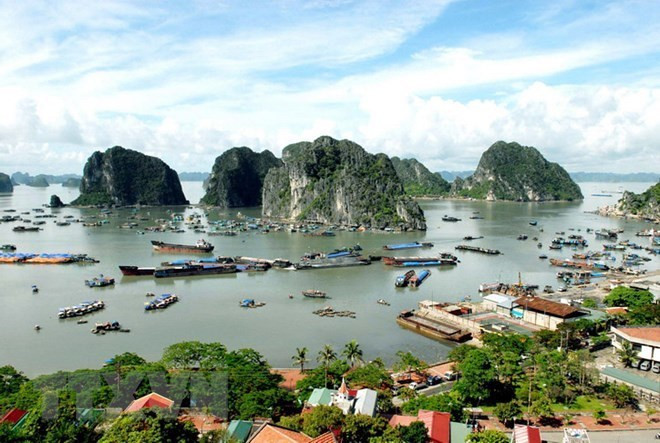 Pour mieux protéger l'environnement de la baie d'Ha Long ảnh 1 Pour mieux protéger l'environnement de la baie d'Ha Long ảnh 1