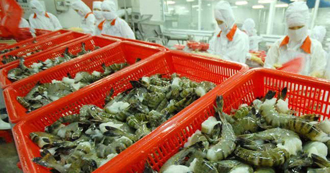 Aquaculture : L’objectif de 10 milliards de dollars d’exportation en 2018 s’avère difficile ảnh 1 Aquaculture : L’objectif de 10 milliards de dollars d’exportation en 2018 s’avère difficile ảnh 1