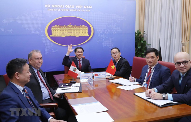 Vietnam et Pérou cherchent à dynamiser leur coopération bilatérale ảnh 1 Vietnam et Pérou cherchent à dynamiser leur coopération bilatérale ảnh 1