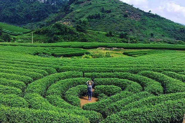 Hanoï et Son La renforcent leur coopération dans le tourisme ảnh 1 Hanoï et Son La renforcent leur coopération dans le tourisme ảnh 1