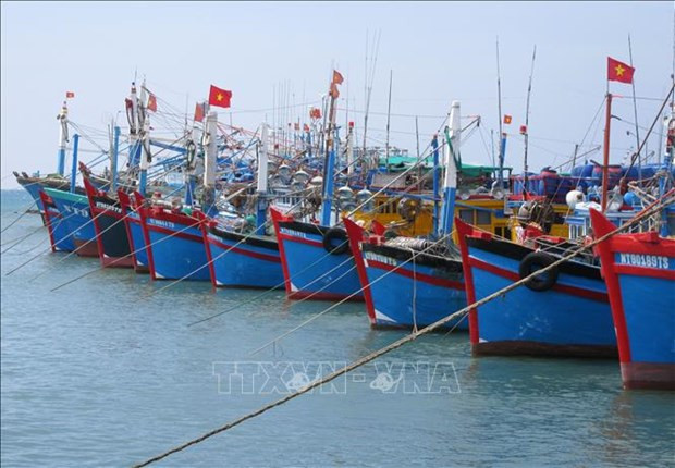 Pêche INN : le Vietnam poursuit l’objectif de développer durablement la pêche ảnh 1 Pêche INN : le Vietnam poursuit l’objectif de développer durablement la pêche ảnh 1