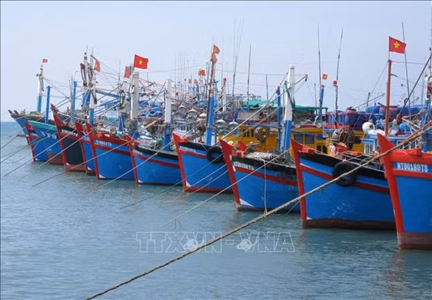 Pêche INN : le Vietnam poursuit l’objectif de développer durablement la pêche ảnh 1