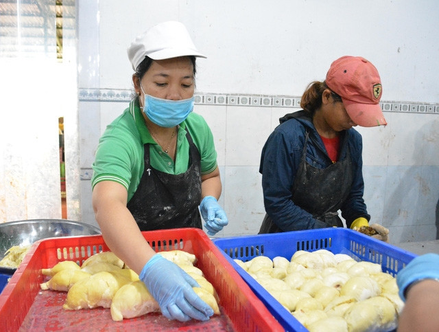 La filière fruitière et maraîchère vise 4 milliards de dollars d'exportations cette année ảnh 1 La filière fruitière et maraîchère vise 4 milliards de dollars d'exportations cette année ảnh 1