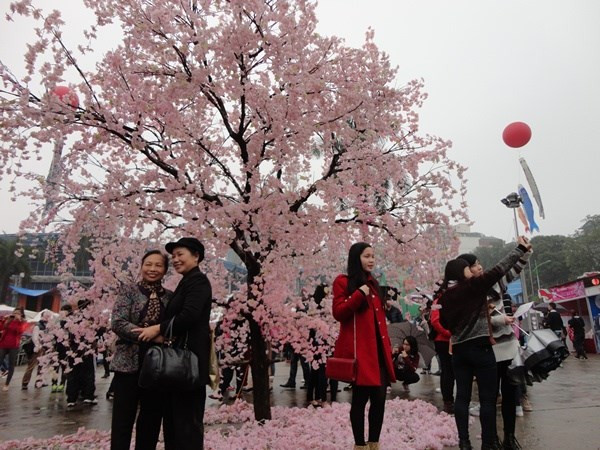 Une riche palette d’activités à la Fête d'échanges culturels Vietnam-Japon ảnh 2 Une riche palette d’activités à la Fête d'échanges culturels Vietnam-Japon ảnh 2