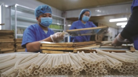 La paille aux légumes et tubercules Ecos, une innovation à croquer ảnh 3 La paille aux légumes et tubercules Ecos, une innovation à croquer ảnh 3