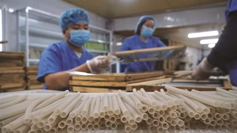 La paille aux légumes et tubercules Ecos, une innovation à croquer ảnh 3