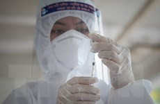 Le gouvernement encourage la participation des localités et des entreprises à l'importation de vaccins ảnh 1