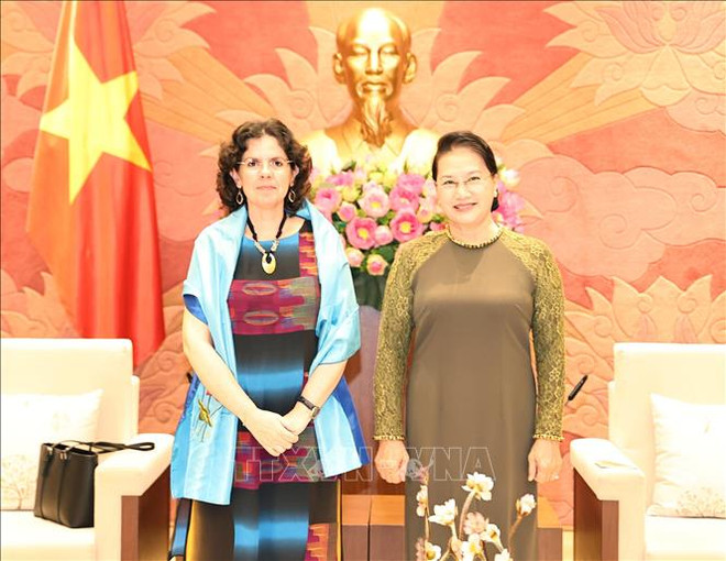 La présidente de l’AN reçoit l'ambassadrice de Cuba au Vietnam ảnh 1 La présidente de l’AN reçoit l'ambassadrice de Cuba au Vietnam ảnh 1