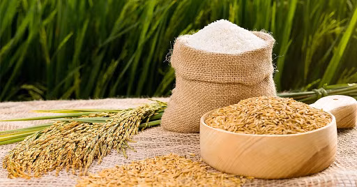 Le riz reste un point positif dans le tableau des exportations ảnh 1