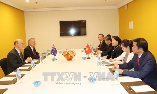 Vietnam-Australie : promouvoir les échanges entre les deux peuples ảnh 1 Vietnam-Australie : promouvoir les échanges entre les deux peuples ảnh 1