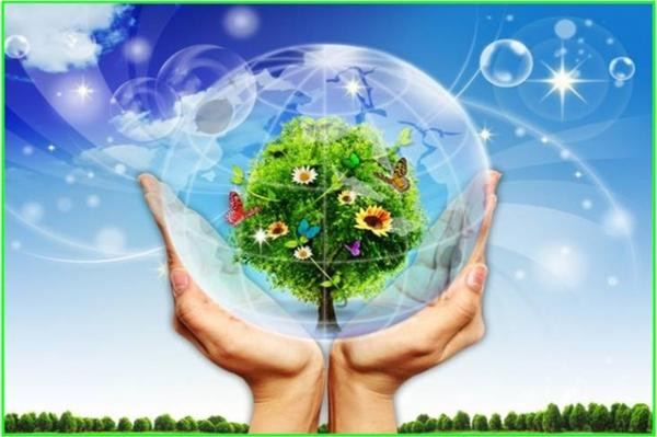 Plan de mise en œuvre de l'Accord de Paris sur le changement climatique ảnh 1 Plan de mise en œuvre de l'Accord de Paris sur le changement climatique ảnh 1