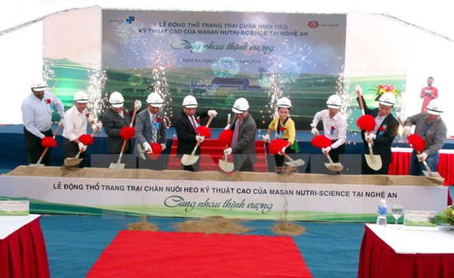 Mise en chantier d'une ferme d'élevage de porcs high-tech à Nghe An ảnh 1 Mise en chantier d'une ferme d'élevage de porcs high-tech à Nghe An ảnh 1