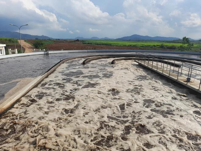 Le Vietnam doit maintenir l’équilibre écologique pour atteindre la neutralité carbone ảnh 2 Le Vietnam doit maintenir l’équilibre écologique pour atteindre la neutralité carbone ảnh 2