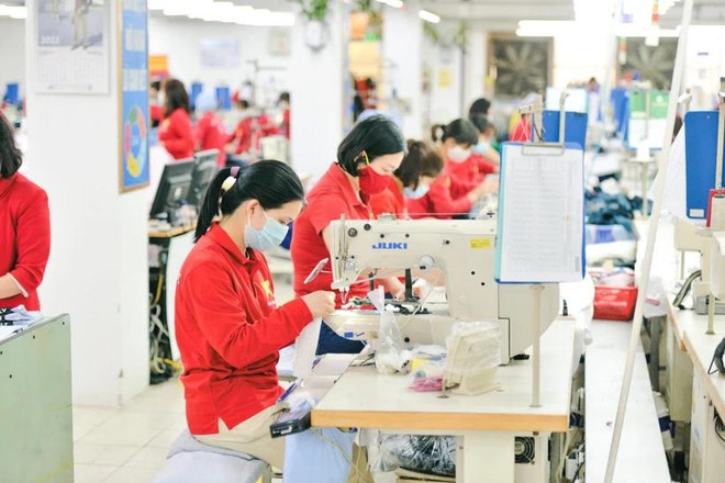 Textile et habillement : les entreprises développent leurs marques et profitent des opportunités du marché ảnh 1 Textile et habillement : les entreprises développent leurs marques et profitent des opportunités du marché ảnh 1