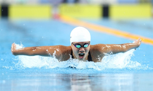 Les Vietnamiens qui ont fait le sport en 2013 ảnh 1 Les Vietnamiens qui ont fait le sport en 2013 ảnh 1
