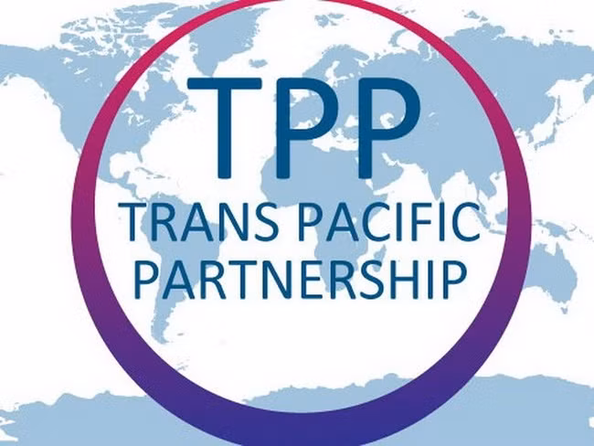 Aucun accord de libre-échange ne peut remplacer le TPP ảnh 1 Aucun accord de libre-échange ne peut remplacer le TPP ảnh 1