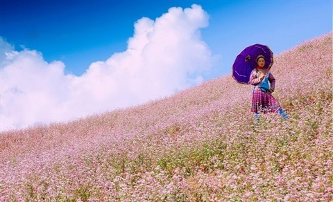 Escapade hors du temps à Hà Giang ảnh 3 Escapade hors du temps à Hà Giang ảnh 3