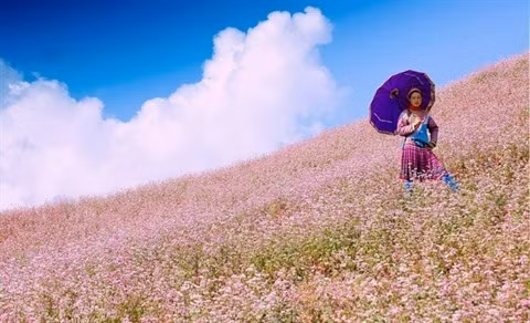 Escapade hors du temps à Hà Giang ảnh 3 Escapade hors du temps à Hà Giang ảnh 3