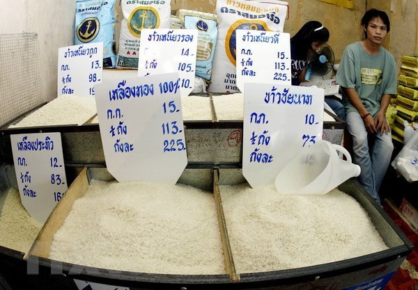 La Thaïlande envisage une politique de développement du riz à long terme ảnh 1 La Thaïlande envisage une politique de développement du riz à long terme ảnh 1