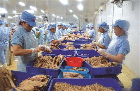 Pêche illicite: la marche forcée des réformes ảnh 2 Pêche illicite: la marche forcée des réformes ảnh 2