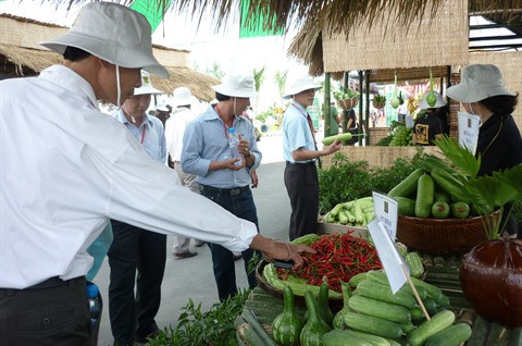Expansion des superficies de production agricole high-tech à Hô Chi Minh-Ville ảnh 1 Expansion des superficies de production agricole high-tech à Hô Chi Minh-Ville ảnh 1