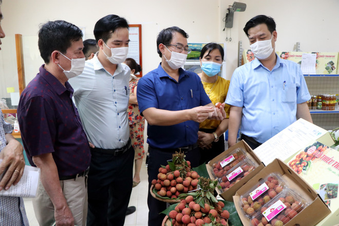 Promouvoir l'exportation du litchi de Hai Duong ảnh 2