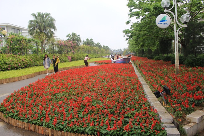 Thanh Hoa : la saison touristique d’été à Sam Son commence par une fête des fleurs ảnh 2 Thanh Hoa : la saison touristique d’été à Sam Son commence par une fête des fleurs ảnh 2