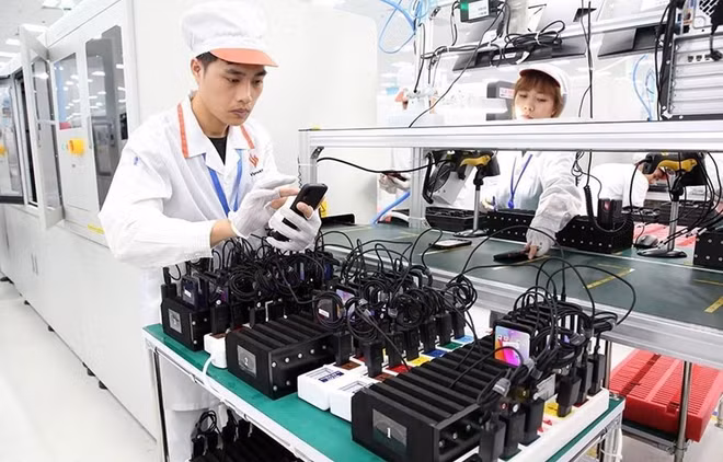 Le vice-PM Vu Duc Dam souligne l’importance des sciences et technologies ảnh 1