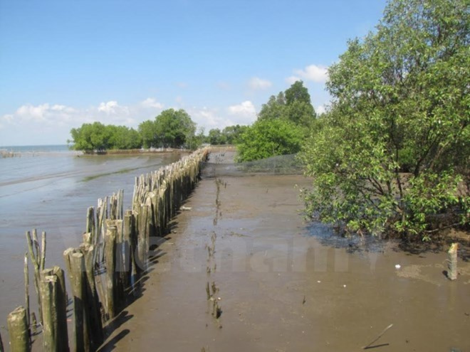 L’USAID finance un projet de protection des forêts au Centre ảnh 1 L’USAID finance un projet de protection des forêts au Centre ảnh 1