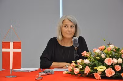 Activités en l’honneur du 45e anniversaire des relations Vietnam-Danemark ảnh 1