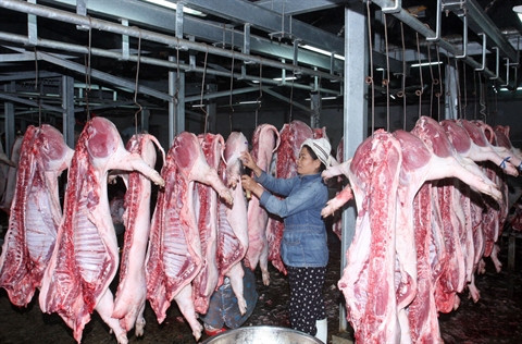 Vietnam-Pologne: coopération renforcée dans l’agroalimentaire ảnh 1 Vietnam-Pologne: coopération renforcée dans l’agroalimentaire ảnh 1