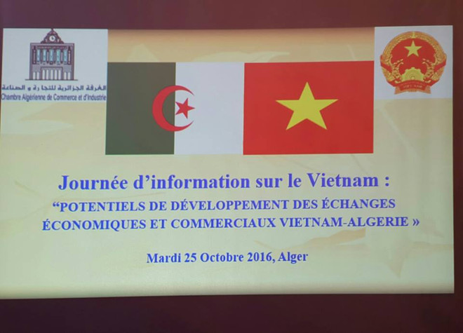 Promotion de coopération économique Vietnam-Algérie ảnh 1