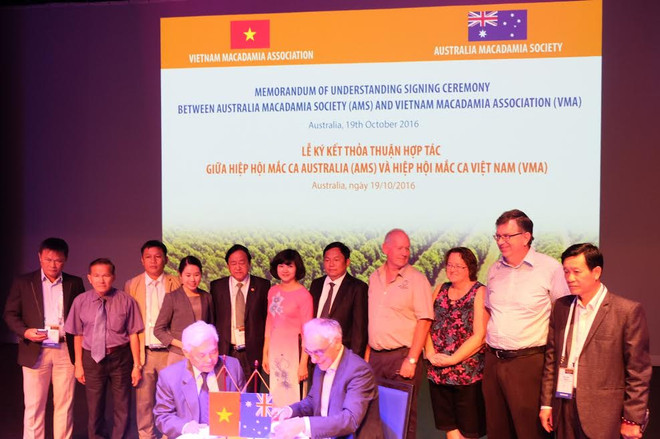 Industrie du macadamia : le Vietnam et l’Australie se serrent la main ảnh 1 Industrie du macadamia : le Vietnam et l’Australie se serrent la main ảnh 1