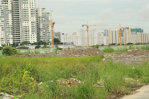 HCM-Ville : premier cas d’infection du virus Zika chez l’homme ảnh 1