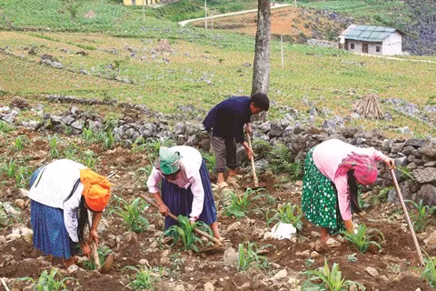 Une lutte au quotidien, sur tous les fronts ảnh 1