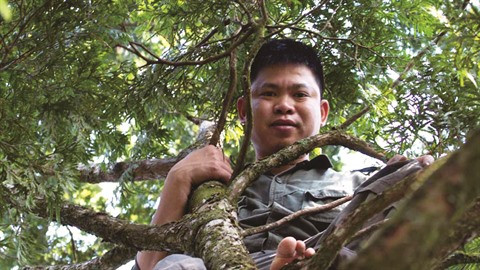 Un botaniste engagé pour protéger la forêt ảnh 1 Un botaniste engagé pour protéger la forêt ảnh 1