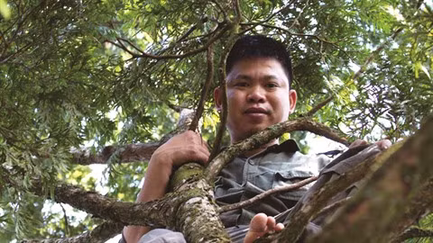  Un botaniste engagé pour protéger la forêt ảnh 1