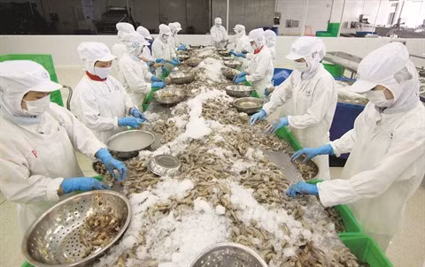 Créer un label pour les crevettes vietnamiennes ảnh 2