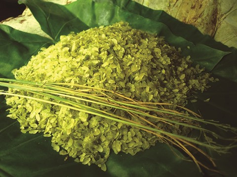 Hanoï se pare de son manteau automnal ảnh 4