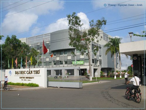 L’Université de Cân Tho coopère avec le Centre d’études culturelles chinoises ảnh 1 L’Université de Cân Tho coopère avec le Centre d’études culturelles chinoises ảnh 1