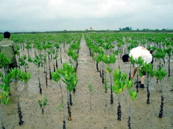 Le GCF aide Quang Nam à renforcer sa résilience au changement climatiquem ảnh 1 Le GCF aide Quang Nam à renforcer sa résilience au changement climatiquem ảnh 1