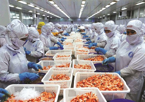 Le CPTPP prend effet, le Vietnam pourrait en profiter immédiatement ảnh 1 Le CPTPP prend effet, le Vietnam pourrait en profiter immédiatement ảnh 1