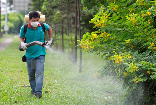 L'évolution complexe de l'épidémie due au virus Zika en Asie du Sud-Est ảnh 1 L'évolution complexe de l'épidémie due au virus Zika en Asie du Sud-Est ảnh 1