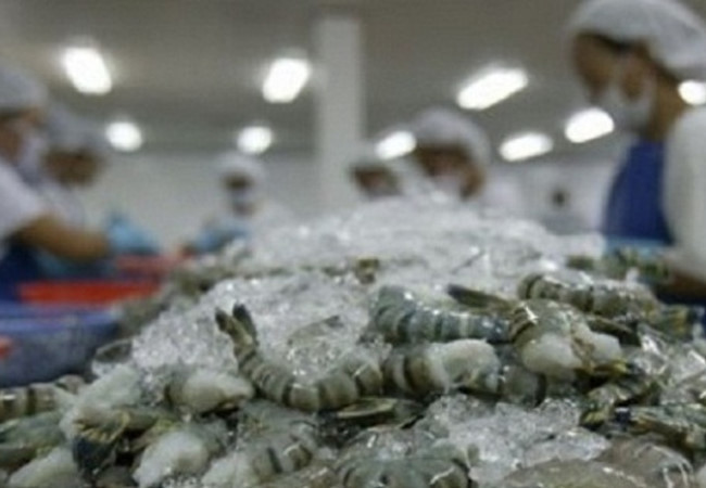 Les crevettes vietnamiennes aux Etats-Unis subissent une taxe antidumping élevée ảnh 1