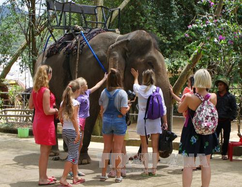 Dak Lak développe le tourisme communautaire ảnh 1 Dak Lak développe le tourisme communautaire ảnh 1