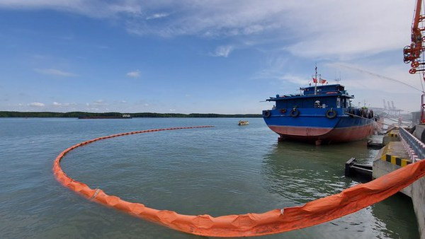 Les pays de la mer d'Asie de l'Est coopèrent pour protéger l'environnement marin ảnh 1 Les pays de la mer d'Asie de l'Est coopèrent pour protéger l'environnement marin ảnh 1