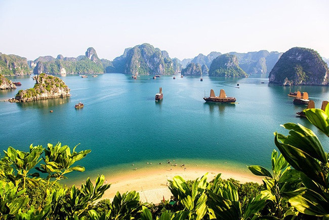 Le Vietnam parmi les destinations les plus "googlisées" en Australie depuis 20 ans ảnh 2 Le Vietnam parmi les destinations les plus "googlisées" en Australie depuis 20 ans ảnh 2