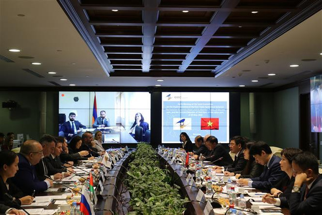 Libre-échange: Réunion du Comité mixte Vietnam-UEEA ảnh 2 Libre-échange: Réunion du Comité mixte Vietnam-UEEA ảnh 2